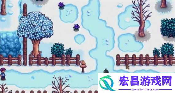 星露谷物语怎么获得放大镜