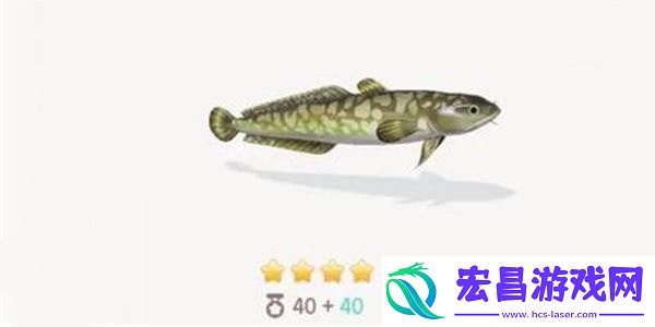 心动小镇江鳕钓鱼方法分享
