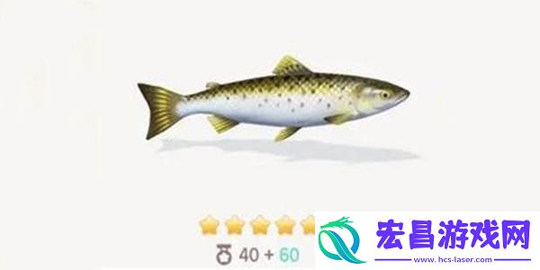 心动小镇三文鱼钓鱼方法分享