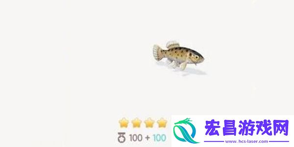 心动小镇荫鱼钓鱼方法分享