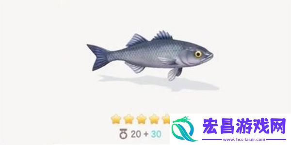 心动小镇海鲈鱼钓鱼方法分享