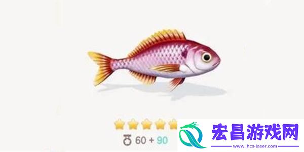 心动小镇黑斑小鲷钓鱼方法分享