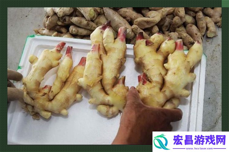“姜”局科技圈