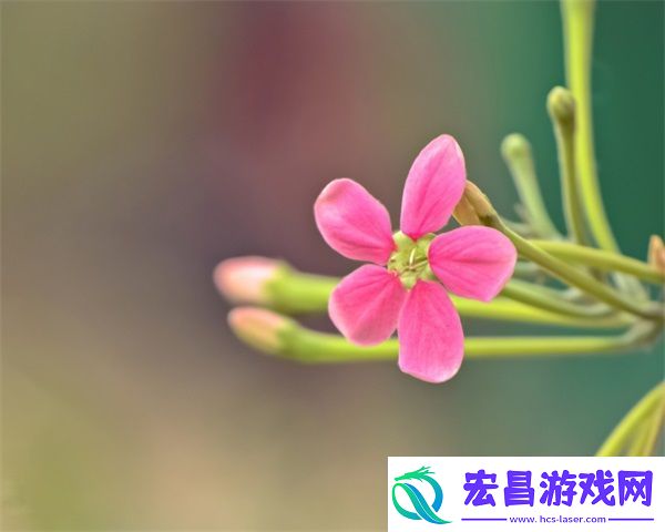 授课方式by肉馅小水饺的动漫