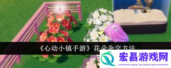 心动小镇手游花朵怎么杂交