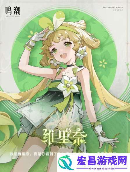 鸣潮维里奈培养攻略