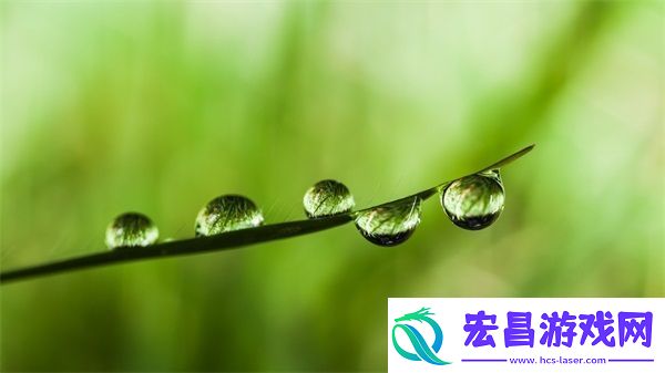 2023AMAZON欧洲站