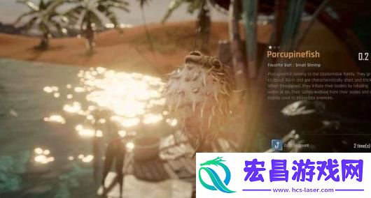 剑星任务妻子的鱼缸怎么完成