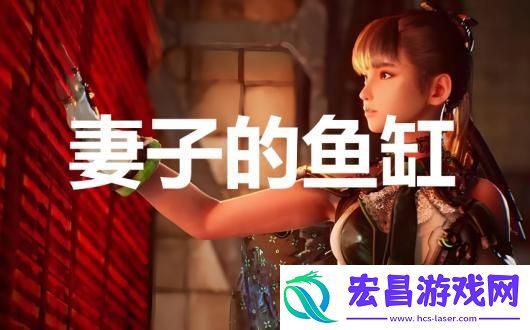 剑星任务妻子的鱼缸怎么完成