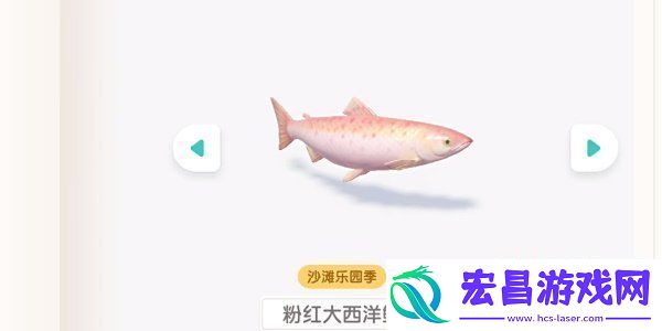 心动小镇潮流季沙滩乐园昆虫怎么收集