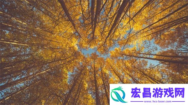 贵族游戏