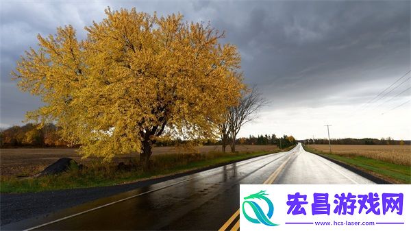 夫妻之间一次又一次的欺骗