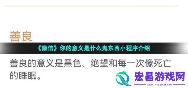 你的意义是什么小程序