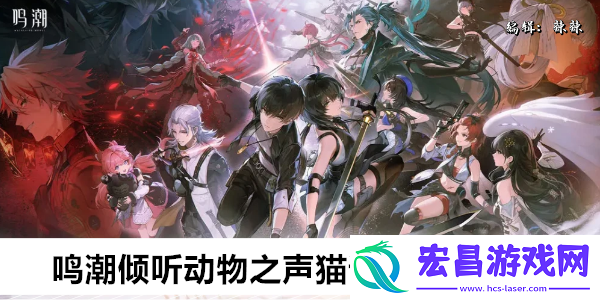 鸣潮倾听动物之声猫语翻译任务攻略