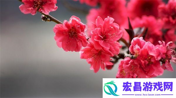男女一起努力做豆浆
