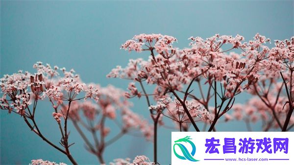 国产母线槽国内一线品牌5标