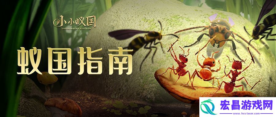 小小蚁国哥斯拉野怪