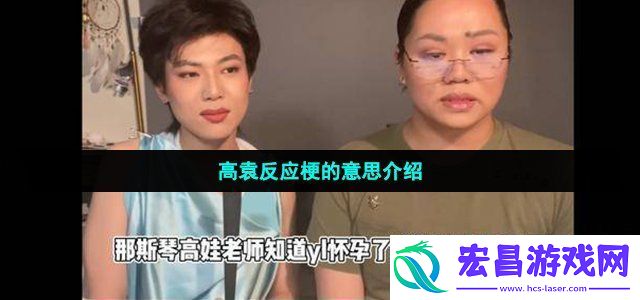 高袁反应什么梗