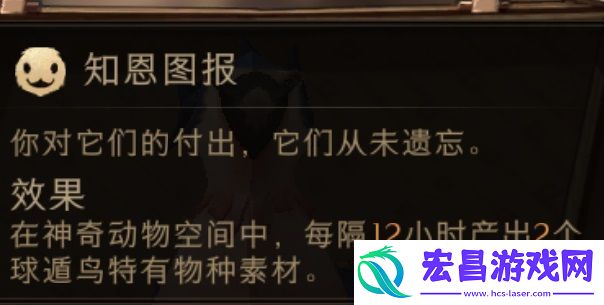 哈利波特魔法觉醒沙漠调查活动怎么玩