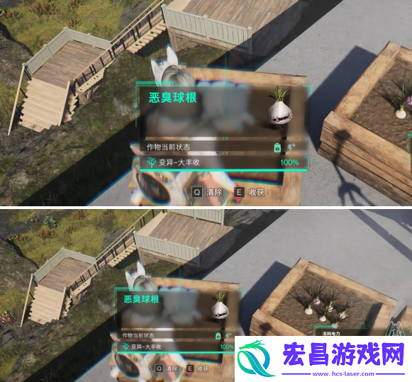 七日世界恶臭球根怎么收容