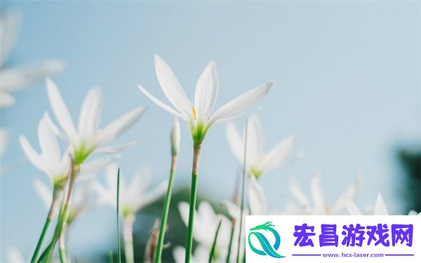 和朋友夫妻一起出去旅游住在一起