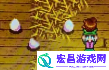 星露谷物语怎么养驼鸟