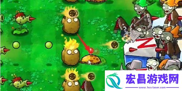 植物大战僵尸杂交版第三关怎么过
