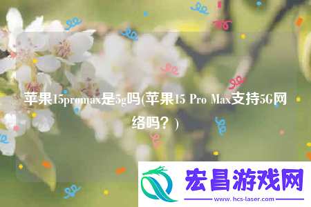 苹果15promax是5g吗