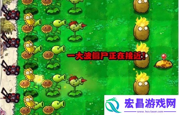 植物大战僵尸杂交版第三关怎么过