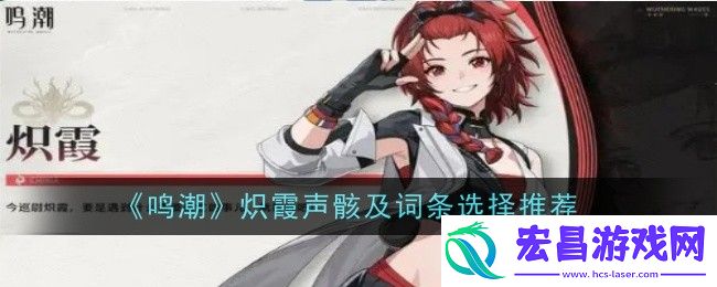 鸣潮炽霞声骸及词条选择推荐