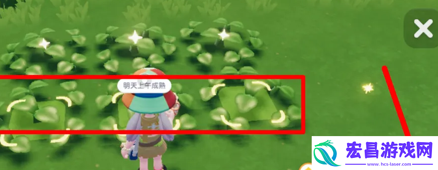 心动小镇怎么大范围浇水大范围浇水方法