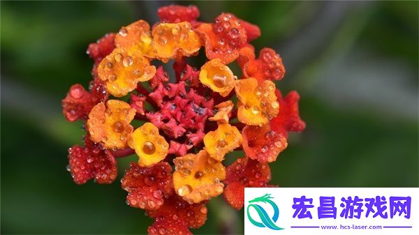 傻大壮长着驴一样的东西