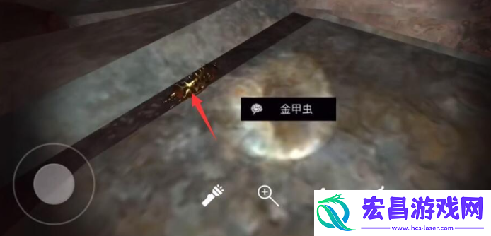 孙美琪疑案逆旅攻略金甲虫