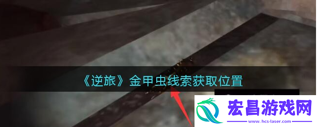 孙美琪疑案逆旅攻略金甲虫