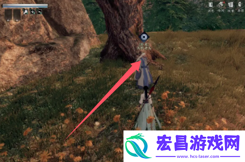 下一站江湖2天机老人位置在哪