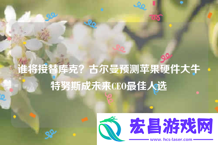 谁将接替库克