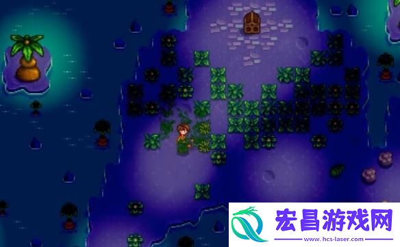 星露谷物语女巫小屋在哪