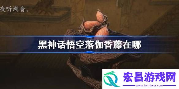 黑神话悟空落伽香藤在哪