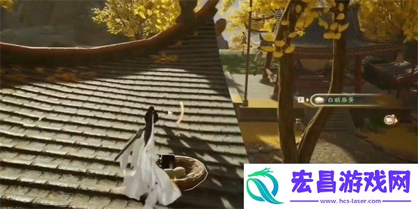 射雕手游白额燕蛋怎么收集