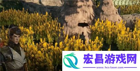 下一站江湖2丢失的手镯奇遇怎么过