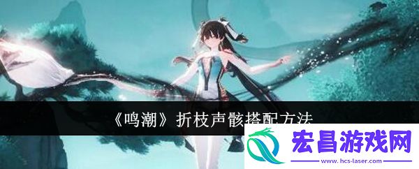 鸣潮折枝声骸怎么搭配