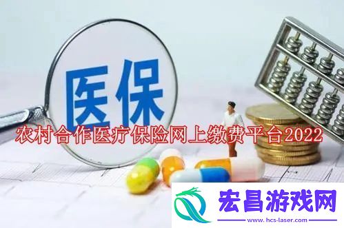 农村合作医疗保险网上缴费平台2024