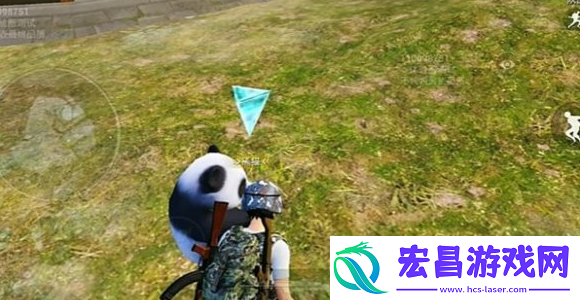 和平精英动物丛林动物介绍