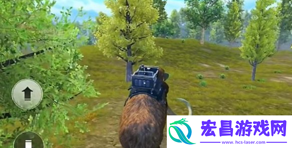 和平精英动物丛林动物介绍