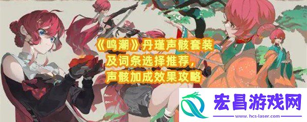 鸣潮丹瑾声骸及词条怎么选择