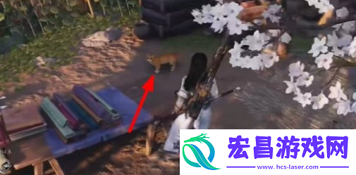 燕云十六声猫猫两撮毛怎么得