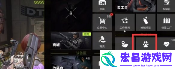 萤火突击宠物背包怎么升级