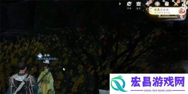 射雕安石榴获取攻略