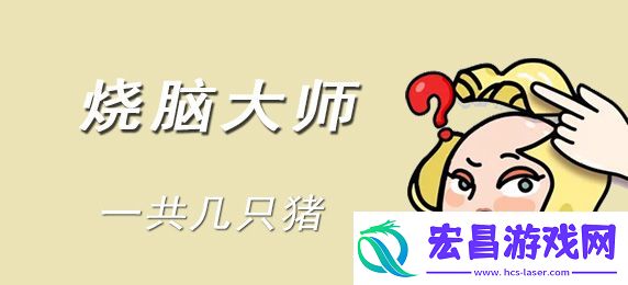 烧脑大师