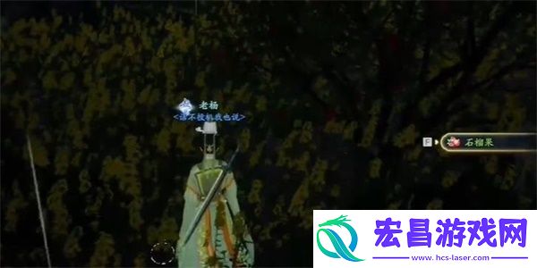 射雕安石榴获取攻略